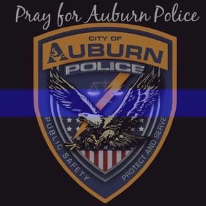 Meet your Posher, Miranda